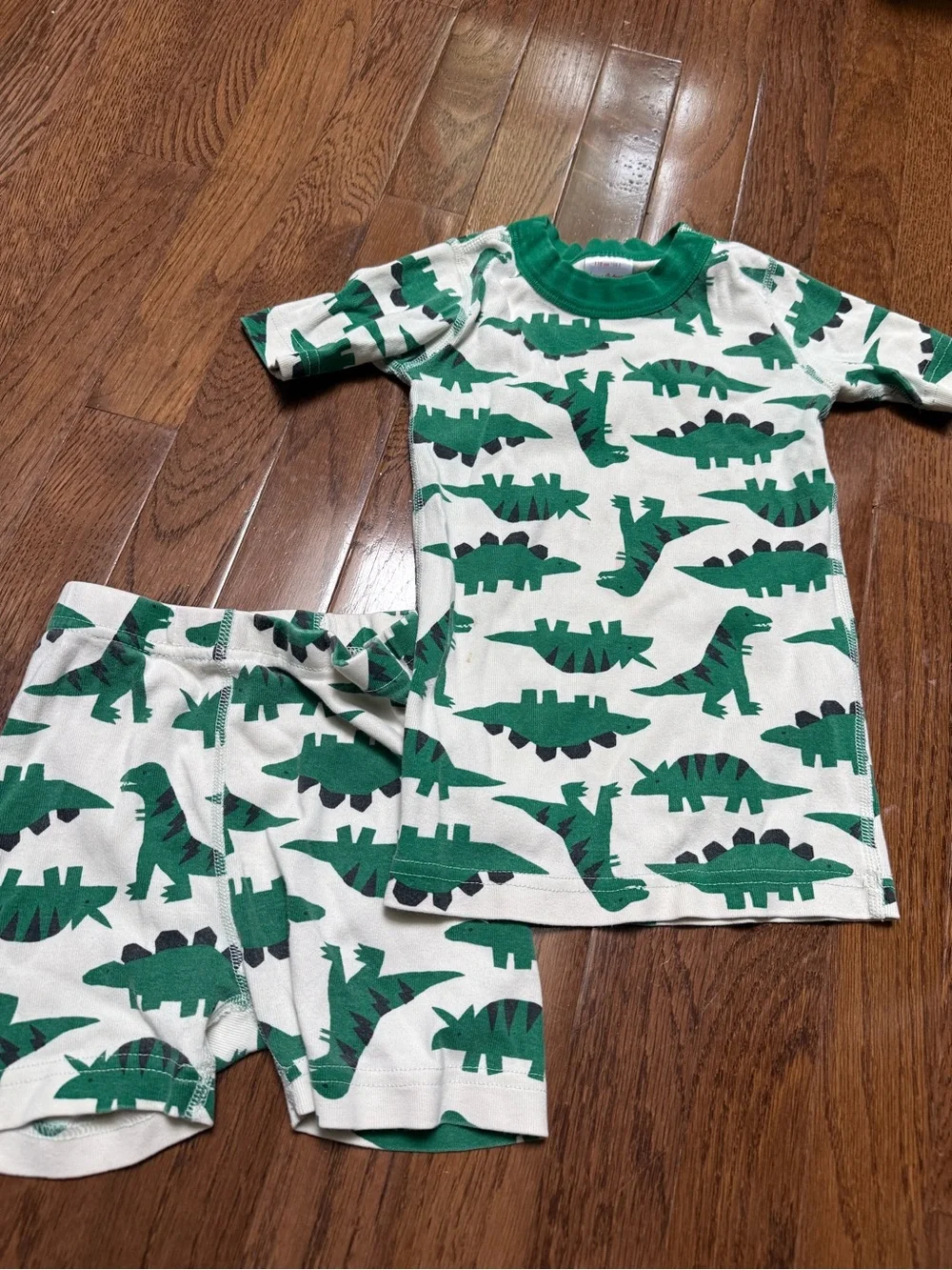 hanna Anderson Dinosaur Pajama Set 5T